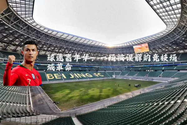 球迷嘉年华:一场被误解的竞技场域革命